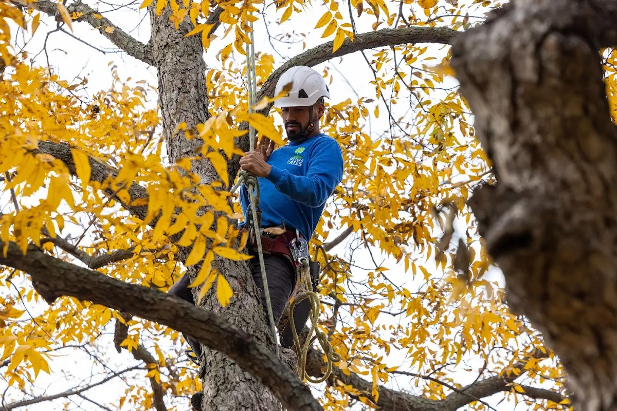 Skilled Storm Damage Cleanup crew working in Lowell